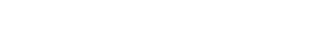 McNally Gervan Logo